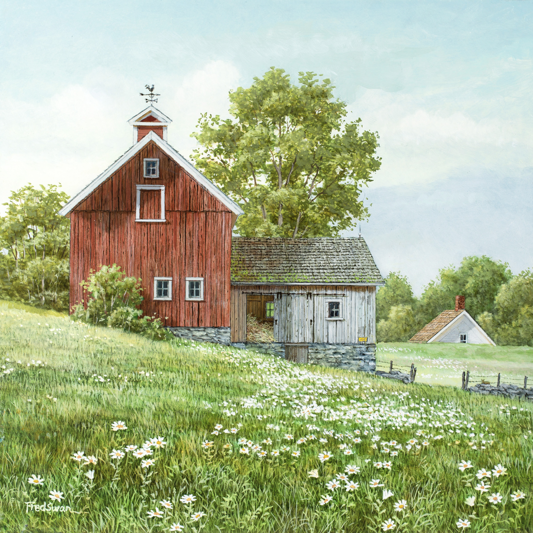 Field of Daisies - American Realist Painting by Fred Swan