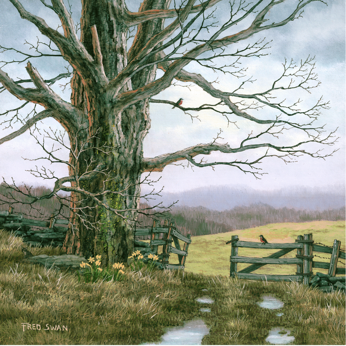 Spring Gate - American Realist Painting by Fred Swan